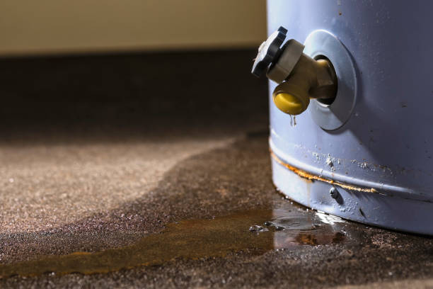Best Fire Damage Restoration  in Niceville, FL