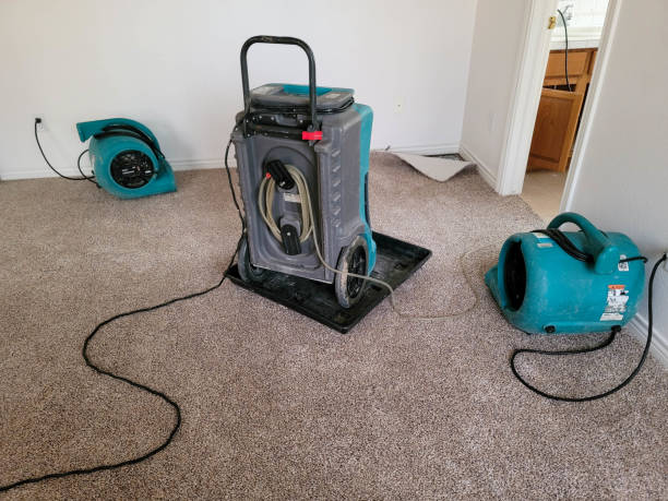 Best Professional water damage repair  in Niceville, FL
