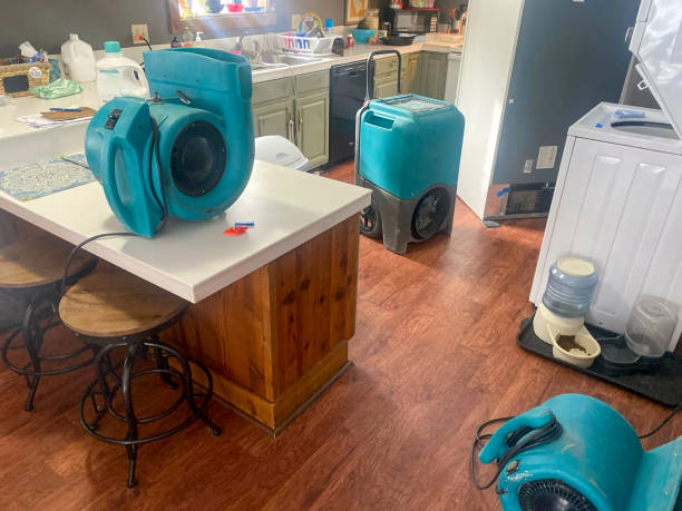  Niceville, FL Water damage restoration Pros