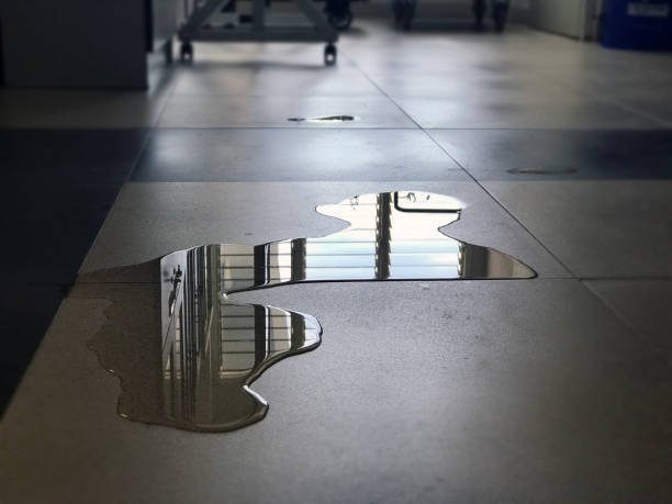 Best 24-hour water damage restoration  in Niceville, FL