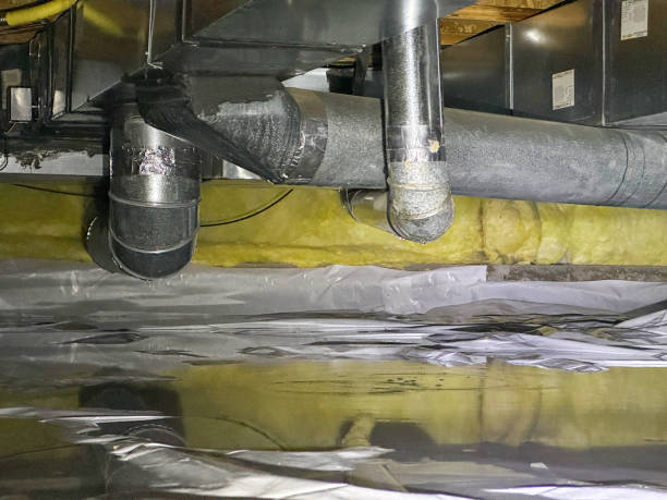 Best Water damage restoration near me  in Niceville, FL