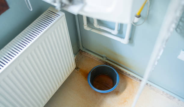 Best Emergency water extraction  in Niceville, FL