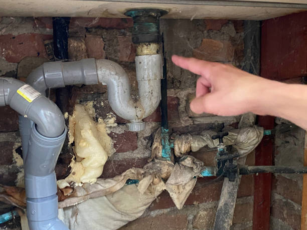 Best Water damage cleanup near me  in Niceville, FL