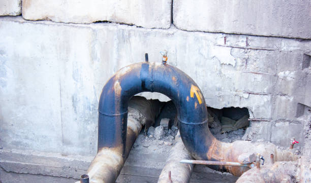 Best Flood restoration services  in Niceville, FL