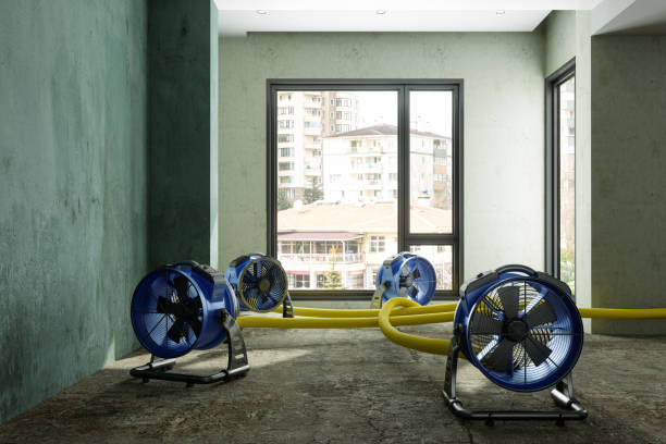 Best Ceiling water damage repair  in Niceville, FL